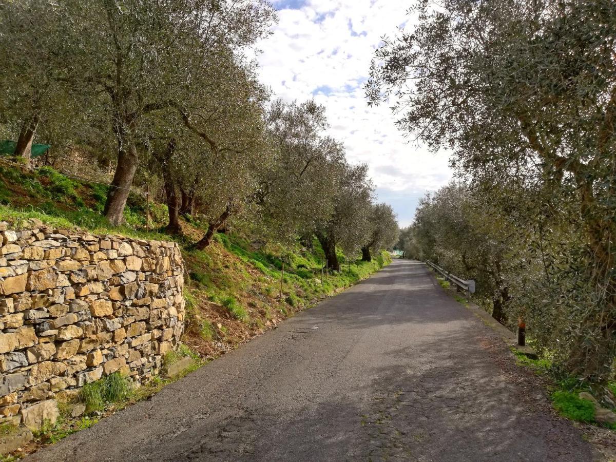Vacanze Borgo Faraldi Appartement Villa Faraldi